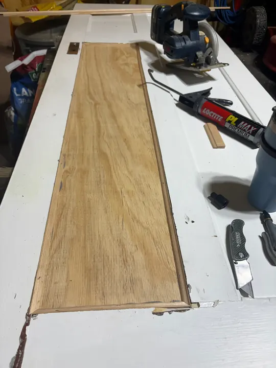New wood panel glued and fitted into the old door