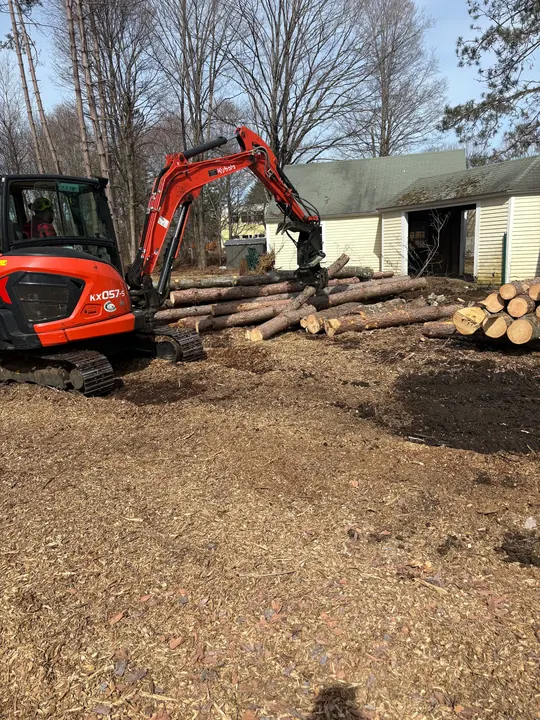 Compact excavator clearing a wooded lot with logs stacked nearby
